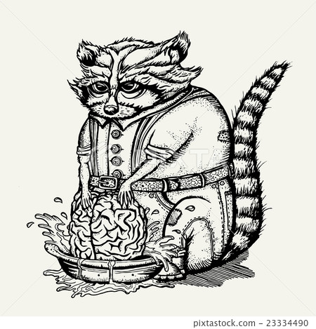 Pen and ink illustration of humanlike raccoon 23334490