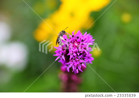 Realism Realism 23335839