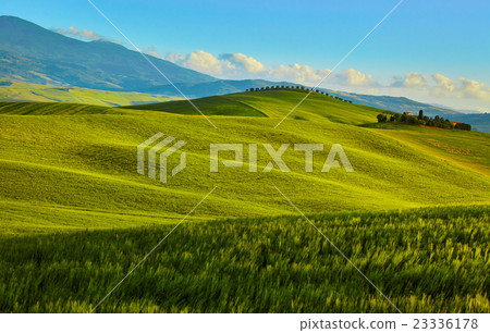 Tuscany, rural sunset landscape. Countryside farm 23336178