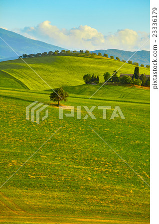 Tuscany, rural sunset landscape. Countryside farm Tuscany, rural sunset landscape. Countryside farm 23336179