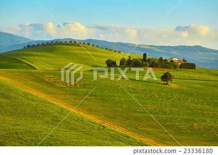 Tuscany, rural sunset landscape. Countryside farm Tuscany, rural sunset landscape. Countryside farm 23336180
