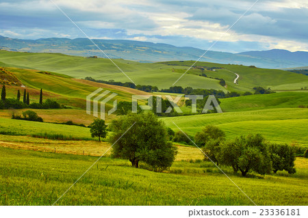 Tuscany, rural sunset landscape. Countryside farm Tuscany, rural sunset landscape. Countryside farm 23336181