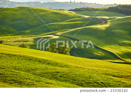 Tuscany, rural sunset landscape. Countryside farm Tuscany, rural sunset landscape. Countryside farm 23336182
