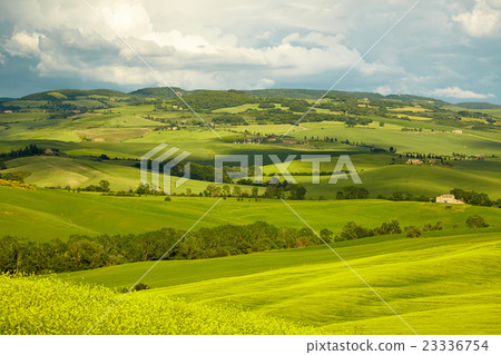 Green Tuscany hills Green Tuscany hills 23336754