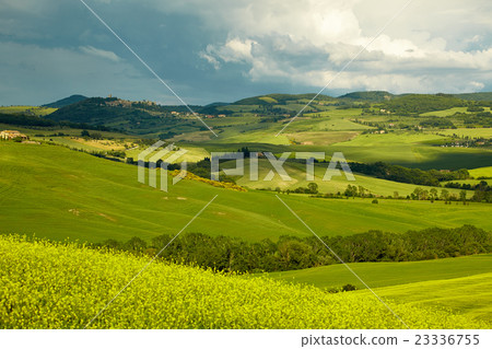 Green Tuscany hills Green Tuscany hills 23336755