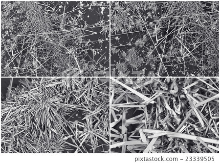 Scientific collage. Crystal in electron microscope 23339505