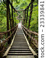 Kazura Bridge 23339841