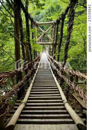 Kazura Bridge 23339841