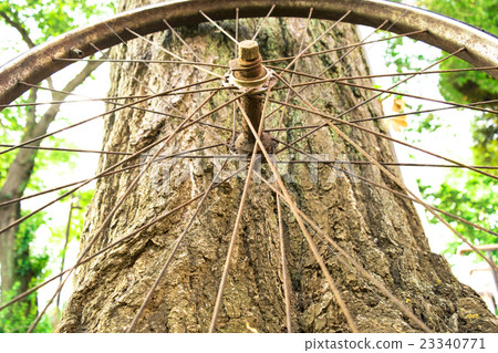 自行車車輪 23340771