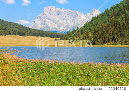 Beautiful alpine panorama 23340828