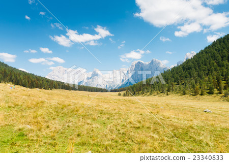 Beautiful alpine panorama 23340833