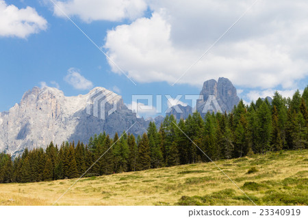 Beautiful alpine panorama 23340919