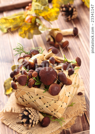 Mushrooms. Mushrooms. 23341147