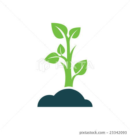 sapling icon design sapling icon design 23342093