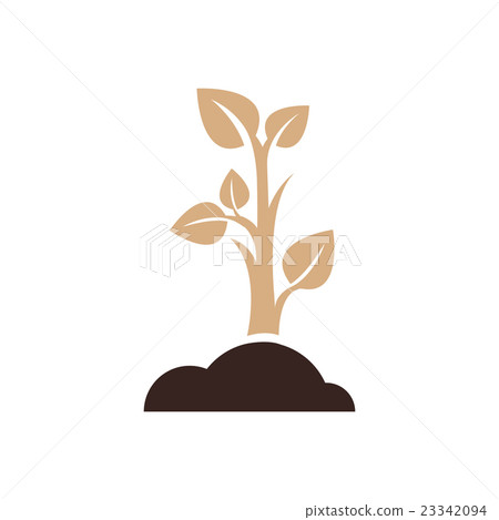 sapling icon design brown color 23342094
