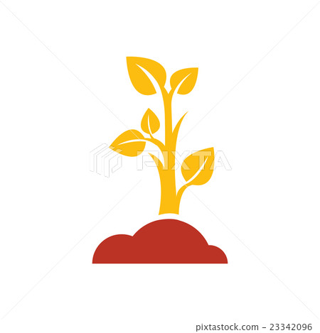 sapling icon design yellow and red color sapling icon design yellow and red color 23342096