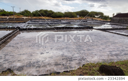 Salines of Tamarin Mauritius Salines of Tamarin Mauritius 23342894