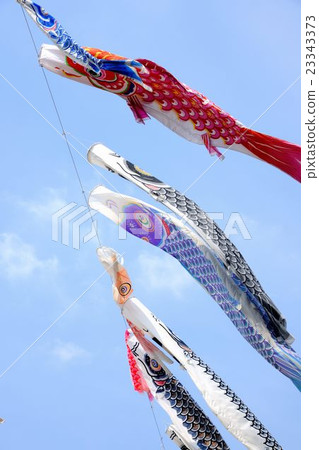 Carp streamer 23343373