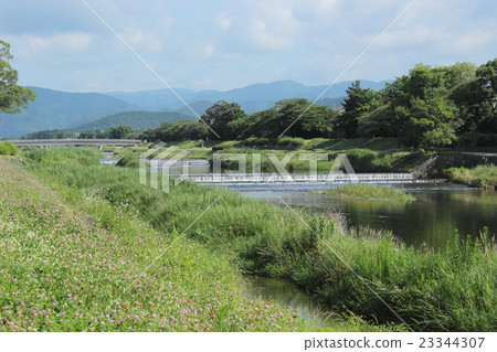 京都鴨川河的風景 23344307