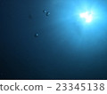 自然 海 大海 23345138