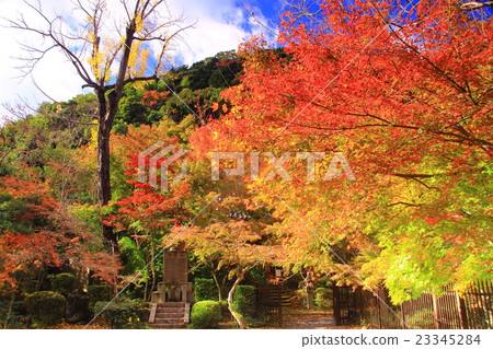 Jitsuzenji(京都八幡市)秋葉在界域 Jitsuzenji(京都八幡市)秋葉在界域 23345284