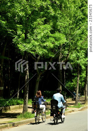 大阪城公園新綠色 23345675