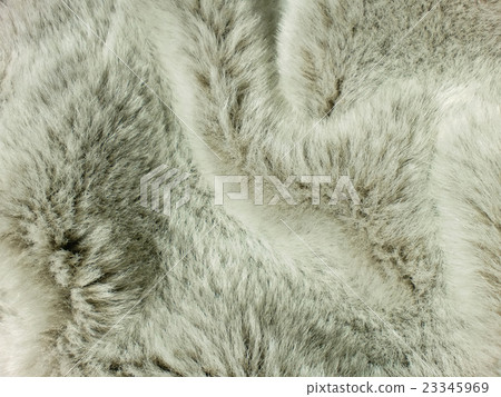 Background: Rabbit gray 23345969