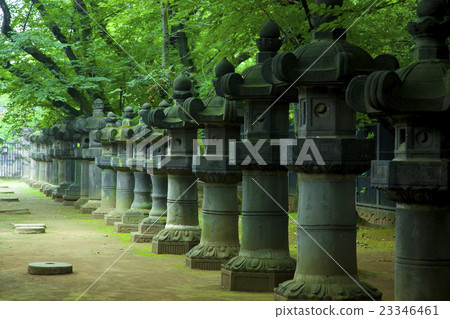 上野東照宮石燈籠 23346461