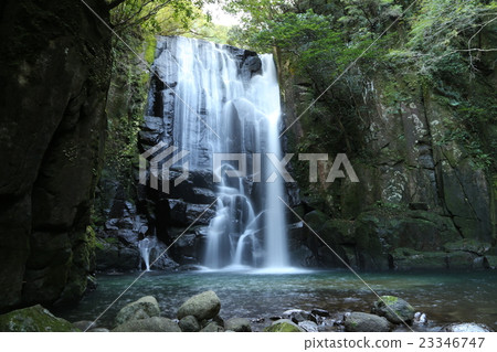 桑樹瀑布 桑樹瀑布 23346747