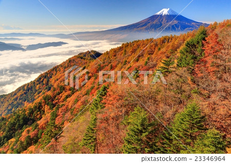Ridges of autumnal leaves seen from the three passes · Unkai and Mt. Fuji Ridges of autumnal leaves seen from the three passes · Unkai and Mt. Fuji 23346964