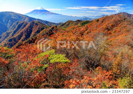 從總部和Kihachi Pass看到的秋葉和富士山的山脈 23347297