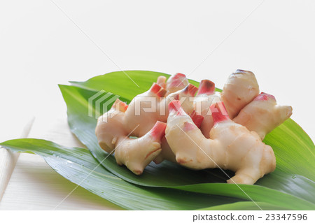 新鮮的新姜 新鮮的新姜 23347596