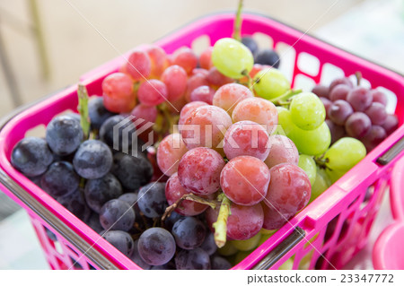 Grape Grape 23347772