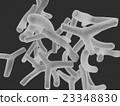 雙歧桿菌CG 23348830