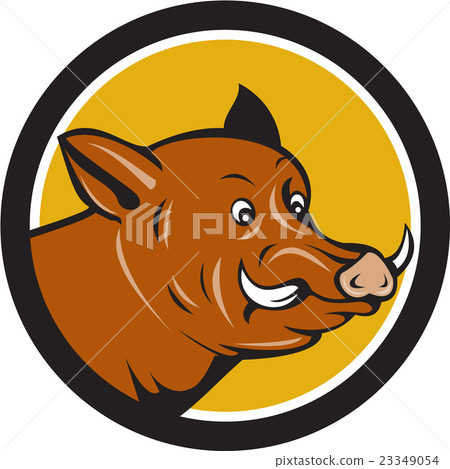 Wild Boar Razorback Head Startled Circle Cartoon 23349054