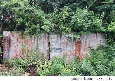 Abandoned rusty metal fence covered with tree and  23349419