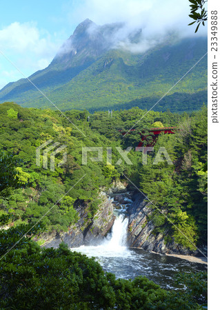 Yakushima Trouki Waterfall 23349888