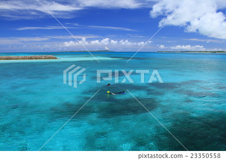 The sea of Okinawa 23350558