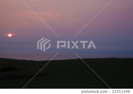 日落和一群鹿 日落和一群鹿 23351299