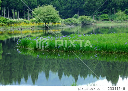 Piercing rust of rock pond 23351546