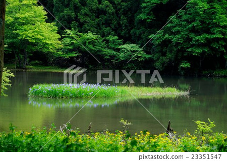 Piercing rust of rock pond 23351547