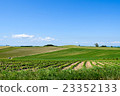 The blue sky of early summer and the hill of Biei 23352133