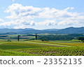 The blue sky of early summer and the hill of Biei 23352135