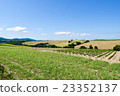 The blue sky of early summer and the hill of Biei 23352137