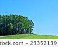 The blue sky of early summer and the hill of Biei 23352139
