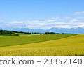 The blue sky of early summer and the hill of Biei 23352140