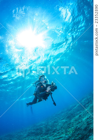 Female diver 23352890
