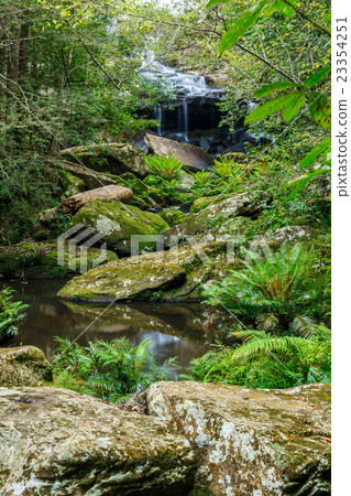 Waterfall in jungle 23354251