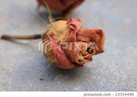Dried and artificial roses Dried and artificial roses 23354490