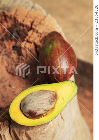 Avocado 23354526